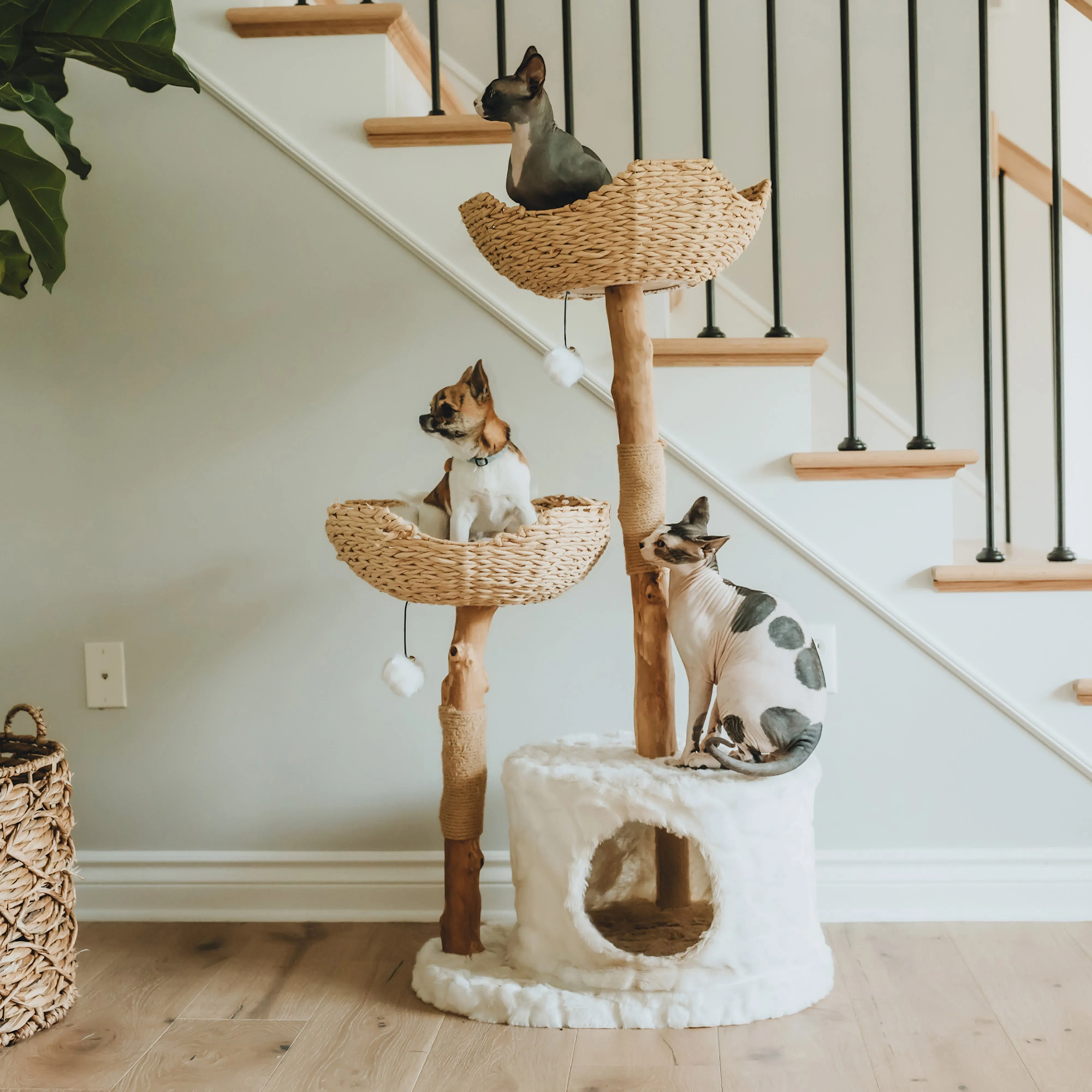 Cento Cat Tree