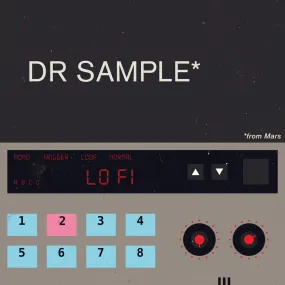 DR SAMPLE FROM MARS