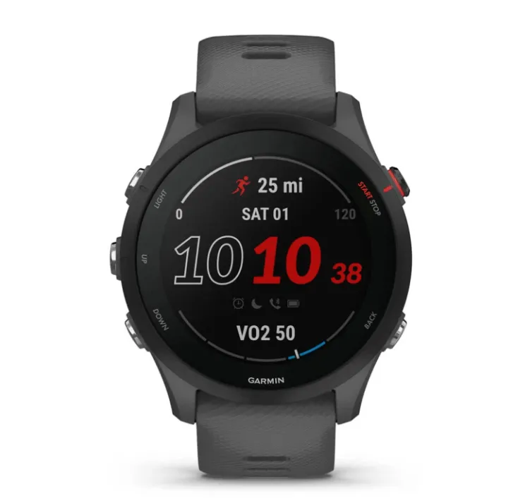 Garmin Forerunner 255 Watch