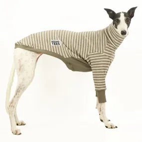 Latte Greyhound Sweater