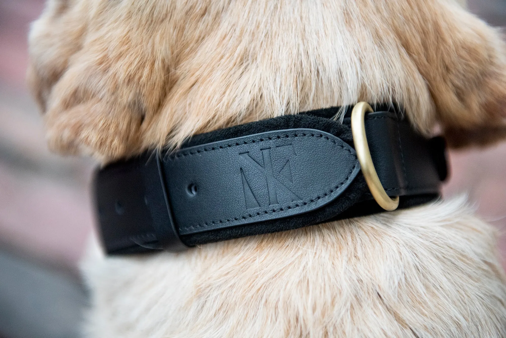 Nine Twenty Eight™ Small AirTag Dog Collar